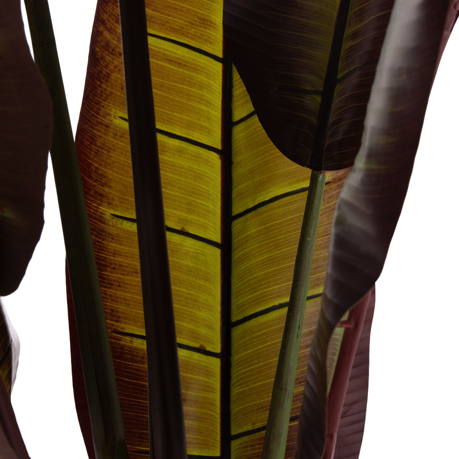 diakosmitiko-synthetiko-fyto-fb94740-iap-6