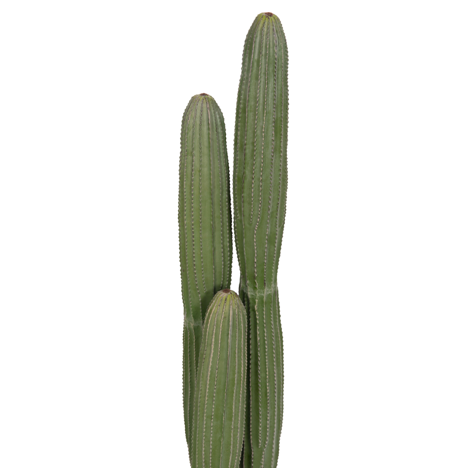 diakosmitiko-synthetiko-fyto-fb94744-kak-2