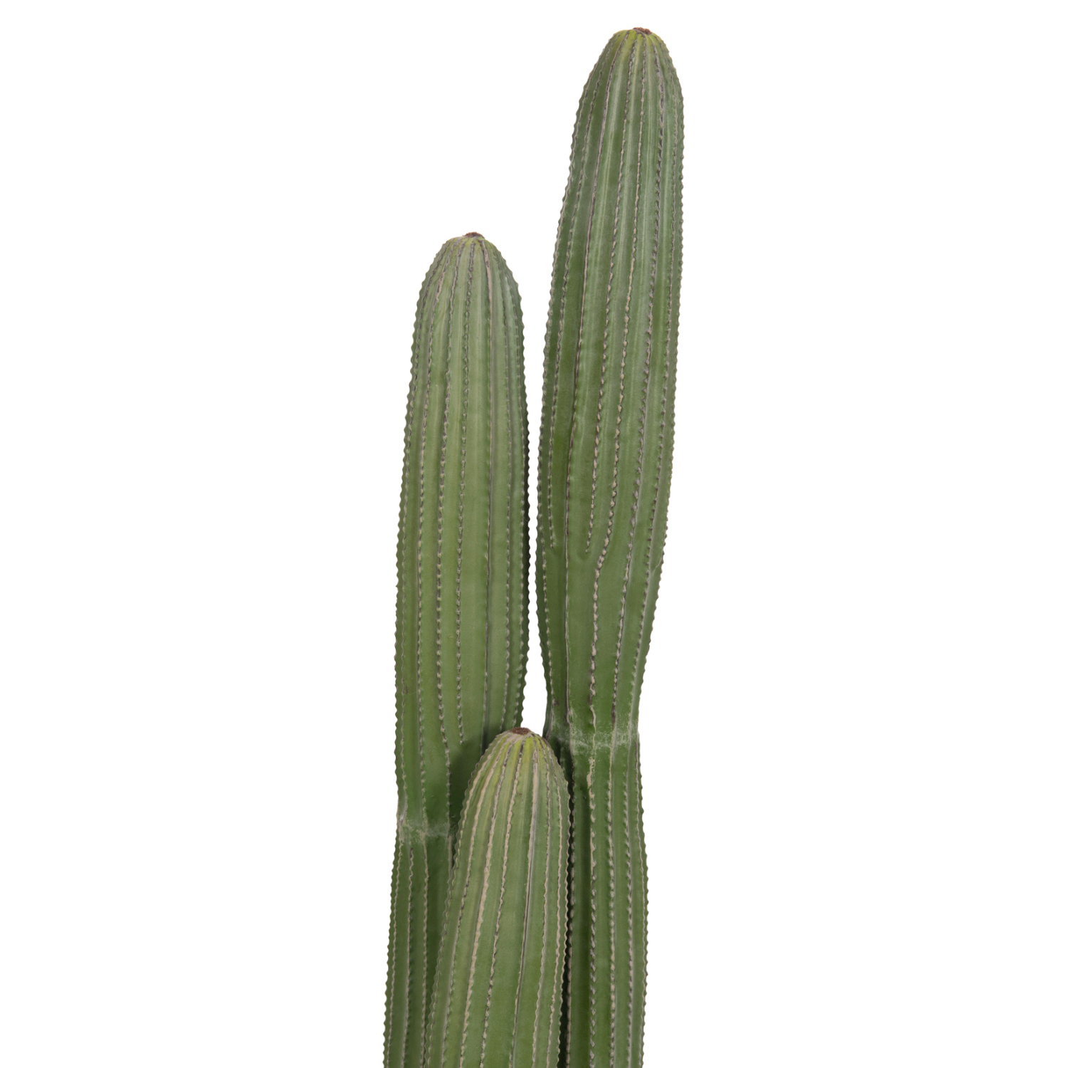 diakosmitiko-synthetiko-fyto-fb94744-kak-6