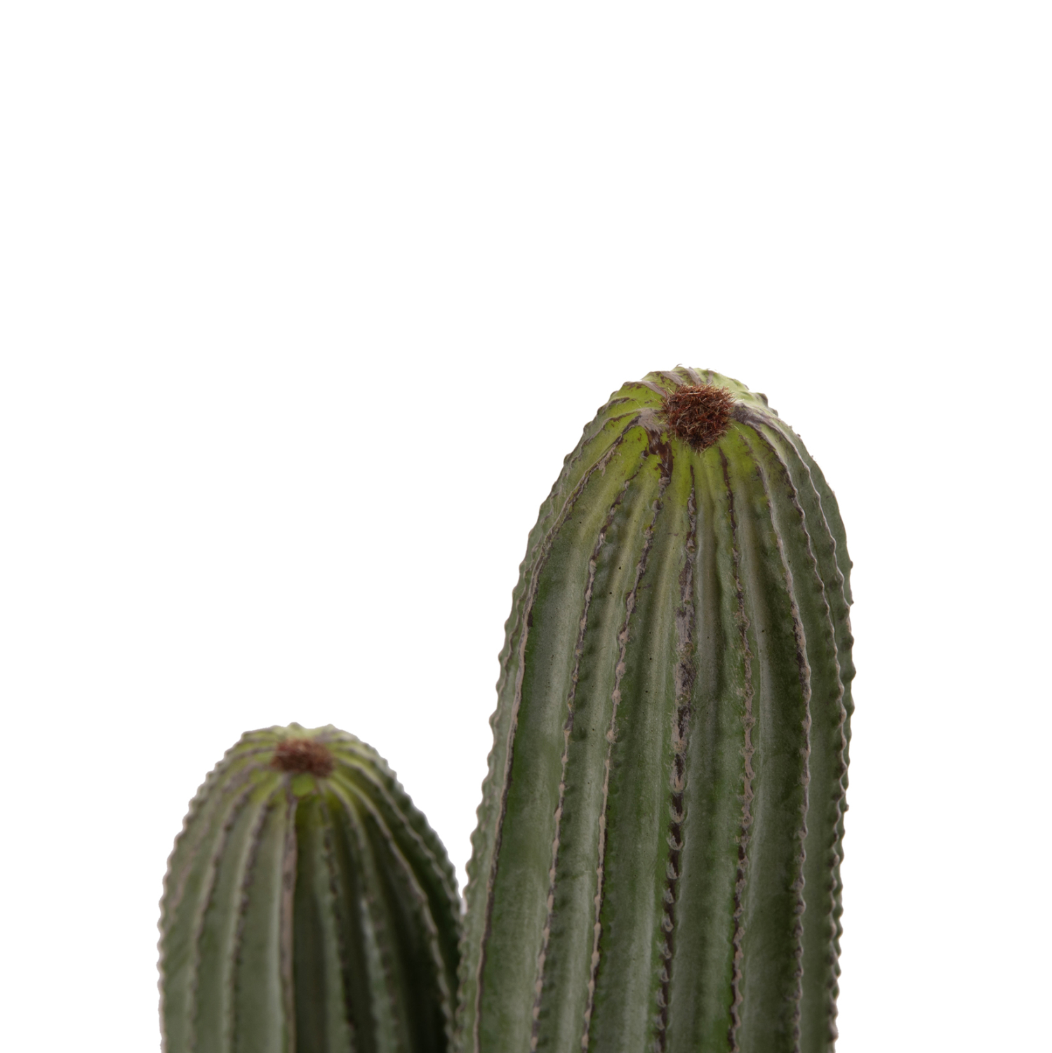 diakosmitiko-synthetiko-fyto-fb94744-kak-8