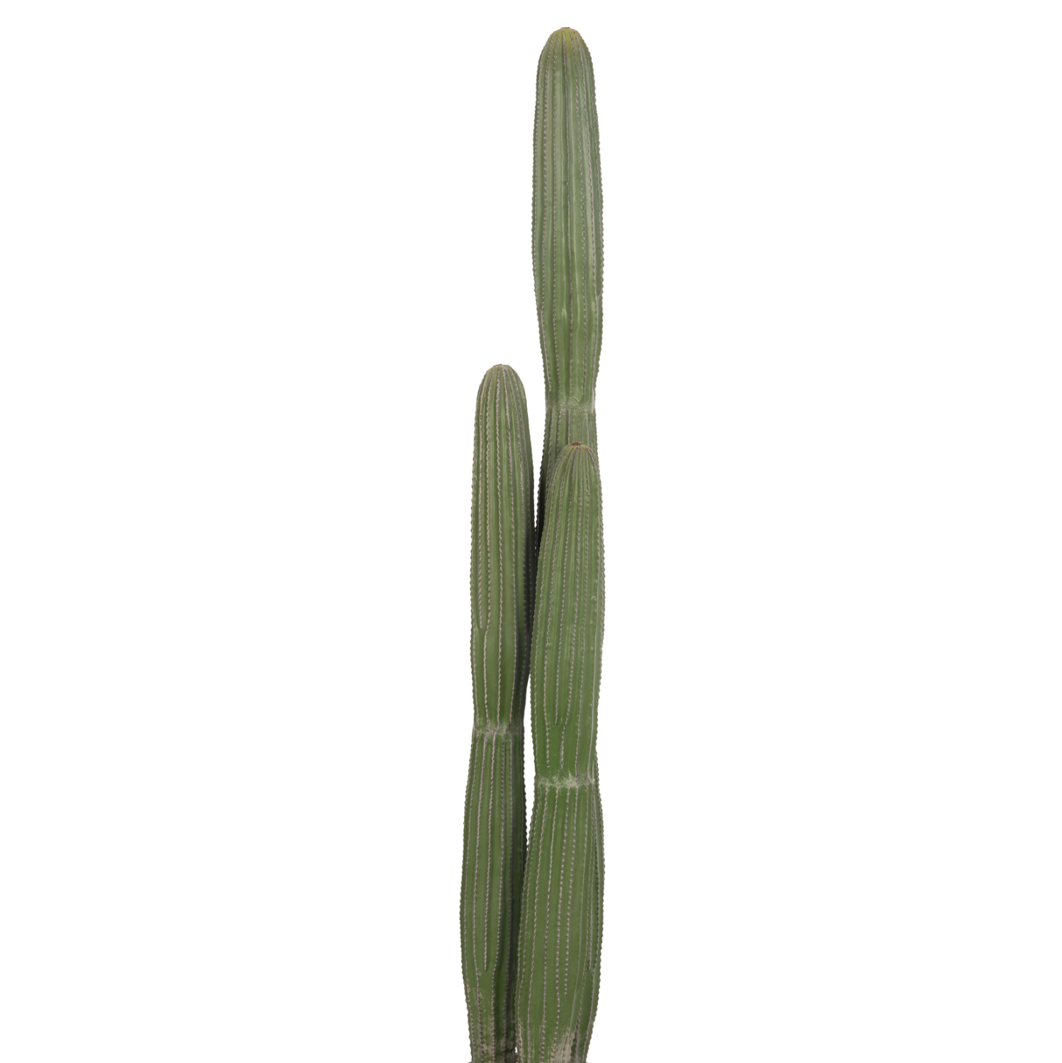 diakosmitiko-synthetiko-fyto-fb94745-kak-8