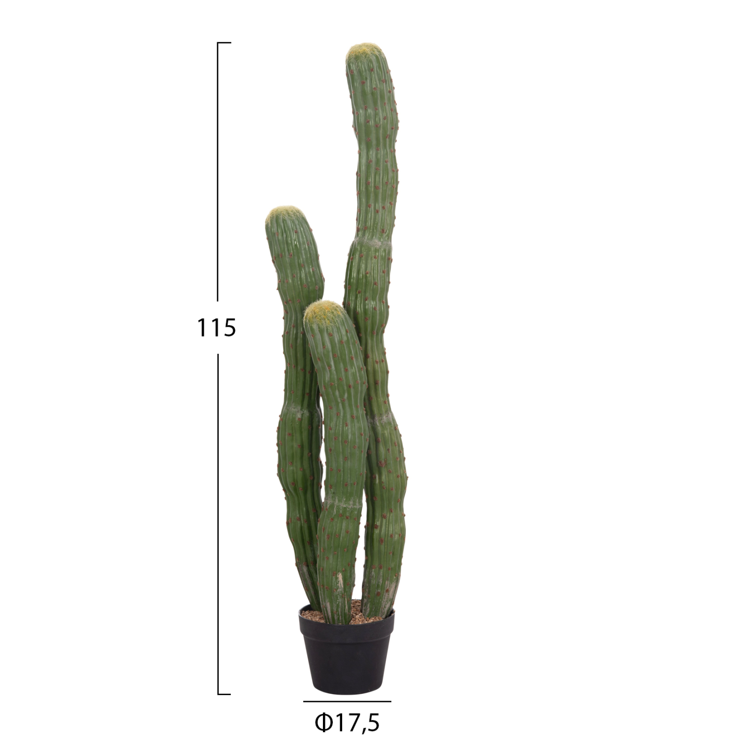 diakosmitiko-synthetiko-fyto-fb94747-kak-1