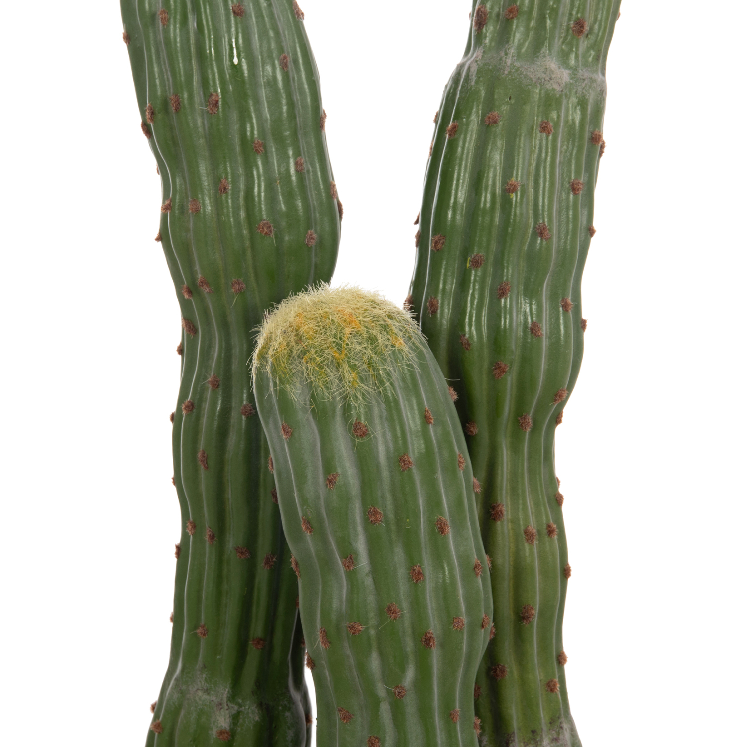diakosmitiko-synthetiko-fyto-fb94747-kak-6