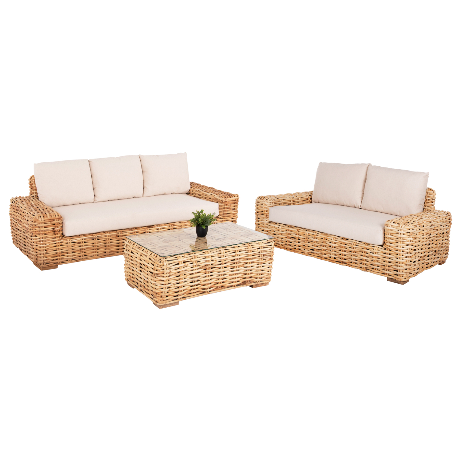 set-saloni-exchoroy-fb911941-3tmch-fysik